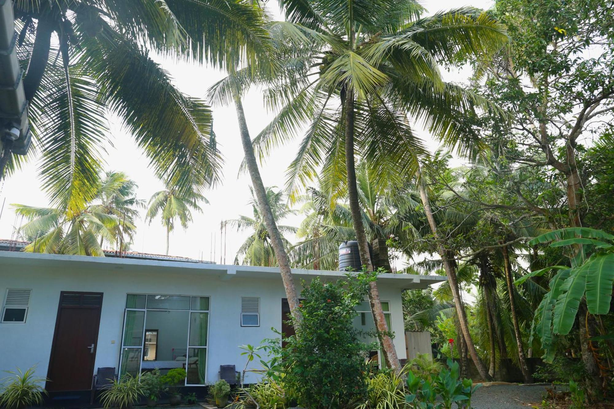 Sandy Palms Guesthouse Hikkaduwa Luaran gambar