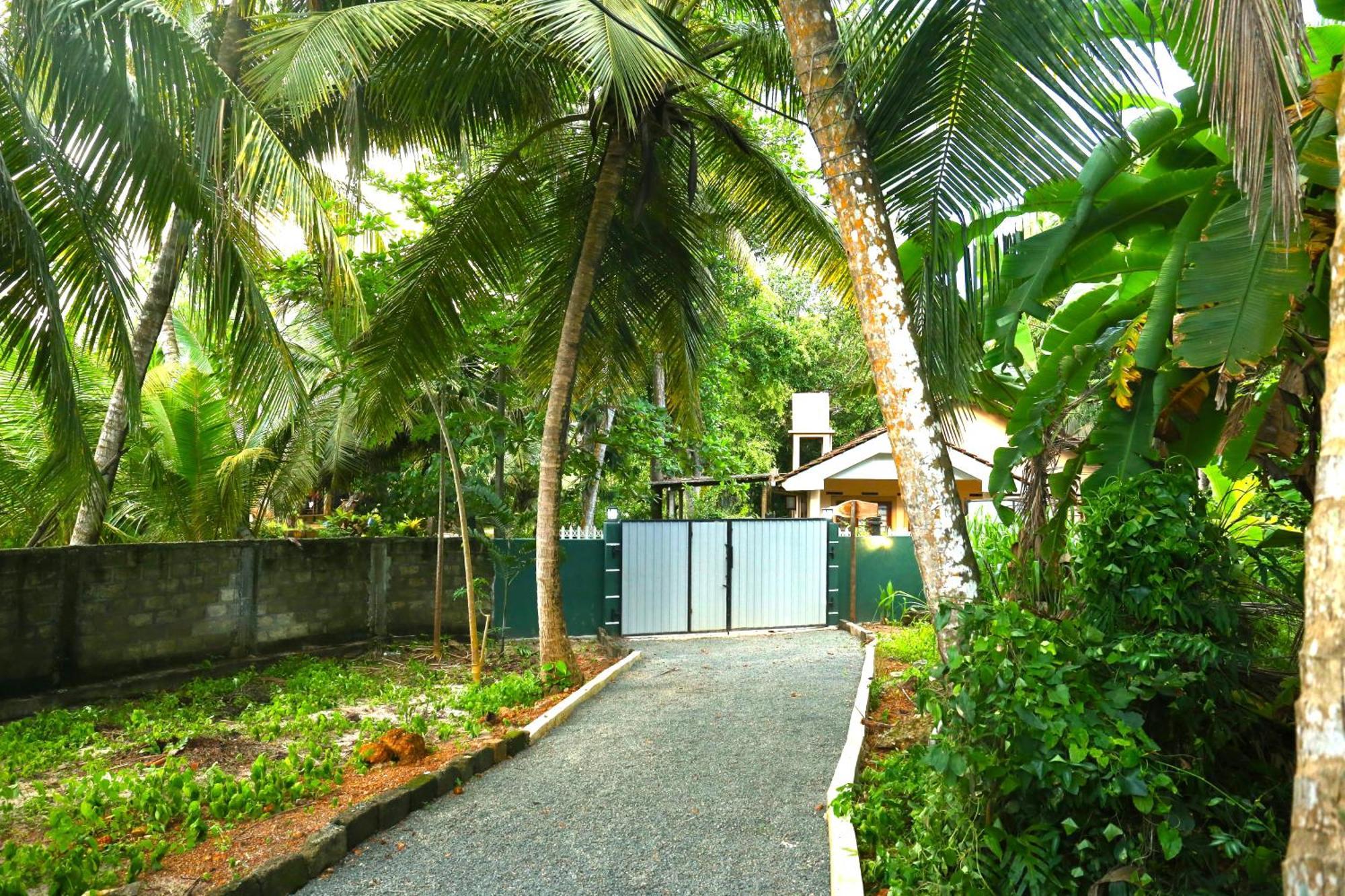 Sandy Palms Guesthouse Hikkaduwa Luaran gambar