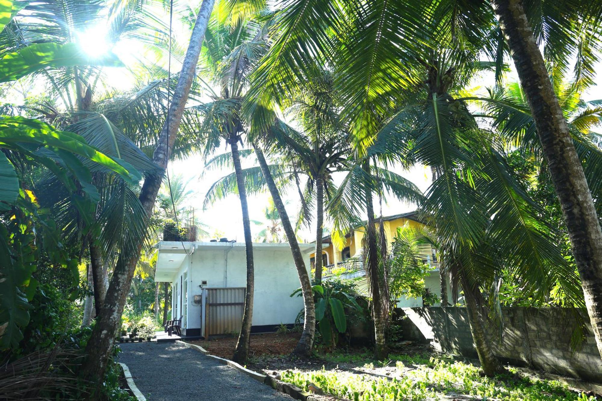 Sandy Palms Guesthouse Hikkaduwa Luaran gambar